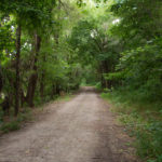 Hard path for walking, jogging and bike riding with lush trees on each side.